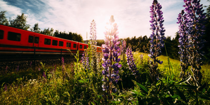 Metromatkalla menneseen