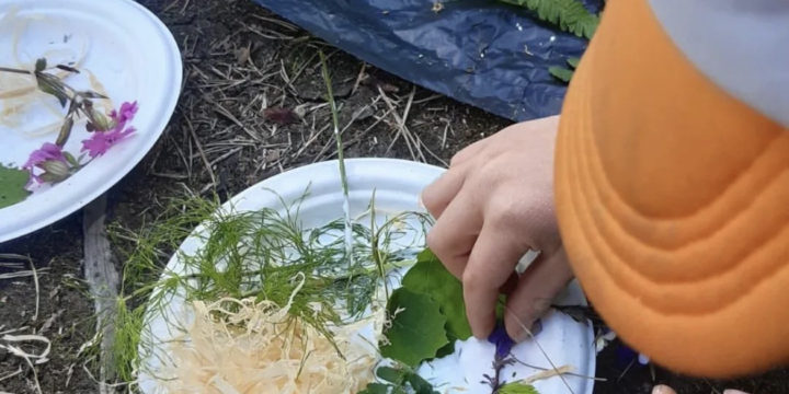 Festivaltallrik från naturen